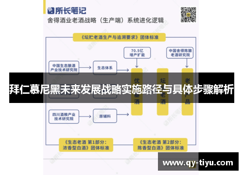 拜仁慕尼黑未来发展战略实施路径与具体步骤解析