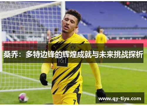 桑乔：多特边锋的辉煌成就与未来挑战探析