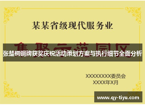 张楚桐铜牌获奖庆祝活动策划方案与执行细节全面分析