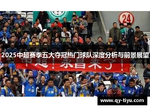 2025中超赛季五大夺冠热门球队深度分析与前景展望