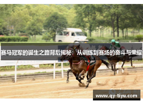 赛马冠军的诞生之路背后揭秘：从训练到赛场的奋斗与荣耀