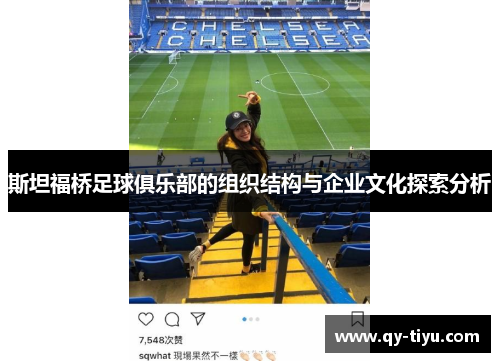 斯坦福桥足球俱乐部的组织结构与企业文化探索分析